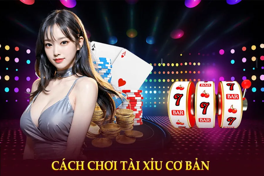 cách chơi tài xỉu cơ bản